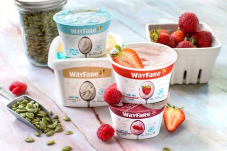 Wayfare Dairy-Free Yogurt Reviews & Info - dairy-free, gluten-free, nut-free, soy-free, coconut-free, protein-free, oil-free, and more!
